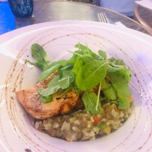 salmon en cama de risoto de lentejas.