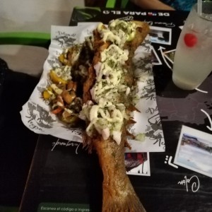 Corvina del negro