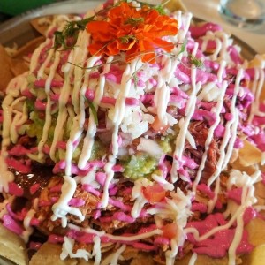 Nachos de pollo y carne