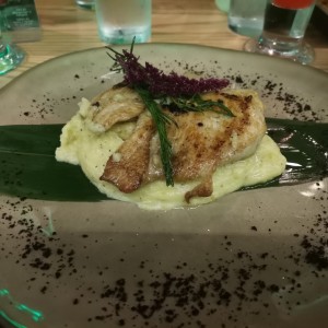 Pollo al Grill o en Salsa