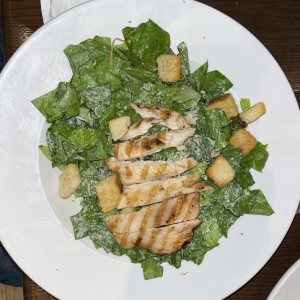 Chicken Caesar Salad