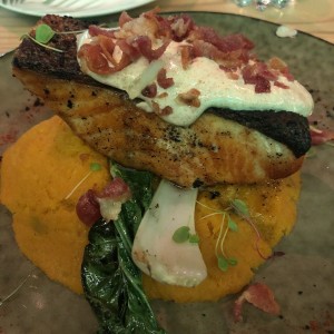 Salmon Frida