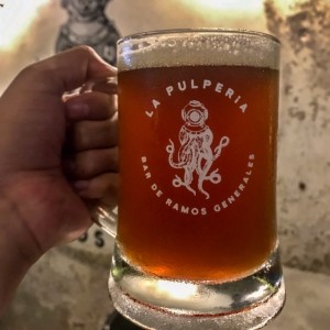 Cerveza El Dictador 16oz