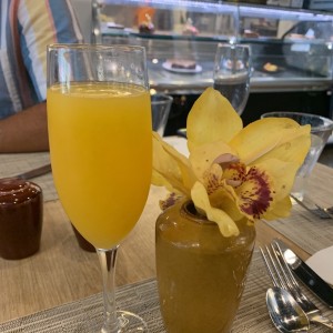 mimosa