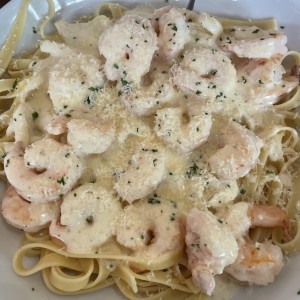 Amazing Alfredos - Fettuccine Alfredo