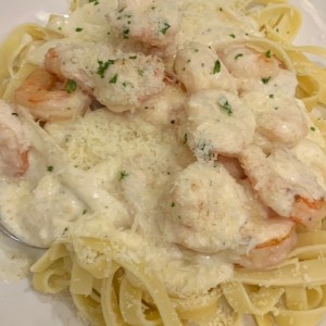 Shrimp Alfredo