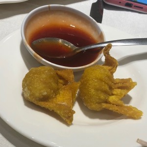 wanton de camarones