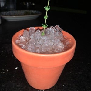 Margarita