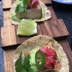 taco duck