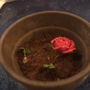 Maceta primitivo 