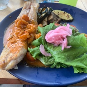 Corvina con salsa de camarones