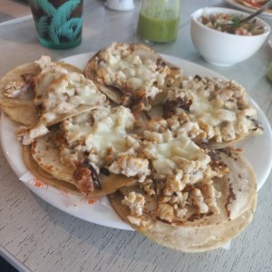 Pollo (5)