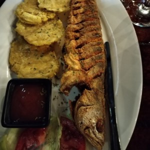 Corvina
