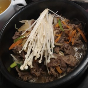 Bulgobi