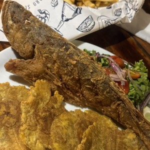 Corvina frita 
