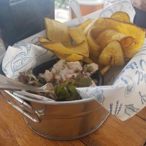 Crevice de corvina