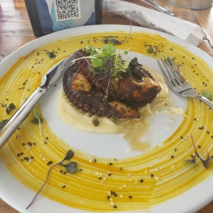 Pulpo