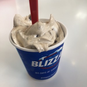 Brownie Blizard