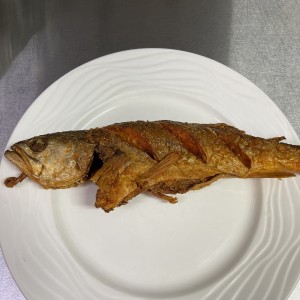 Corvina Frita