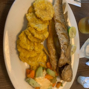 corvina frita