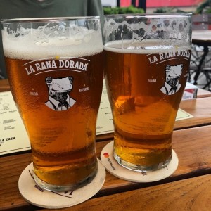 IPA