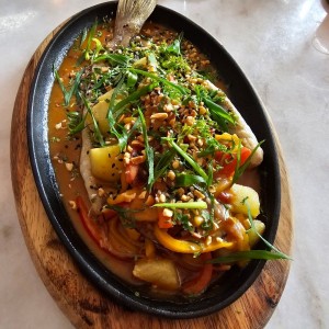 Corvina thai