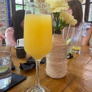 PARA TOMAR - Mimosa