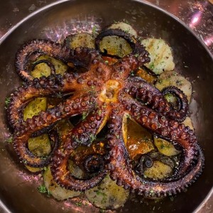 Pulpo Paul 