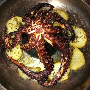 Paul pulpo al grill