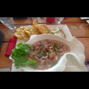 Pulpo