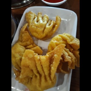 Desayuno Dimsum - Wanton Frito