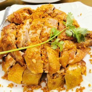 Pollo