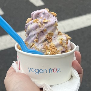 Blueberry Con Leche Condensada y Granola Sencilla