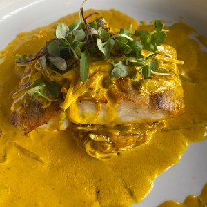 Corvina