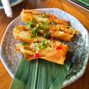 Entradas - Spring Rolls