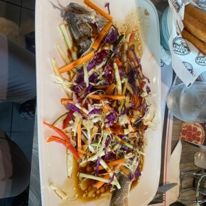 Corvina oriental