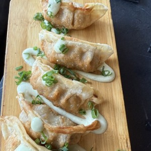 Gyozas de Pollo o Cerdo y Vegetales