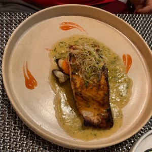 Salmon