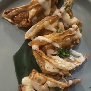 ENTRADAS - Gyosas de Pollo