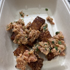 Tuna bites