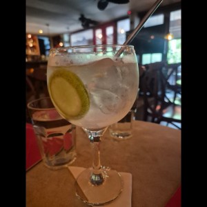 gin tonic cóctel