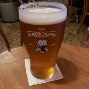 pinta de cerveza Rana Dorada
