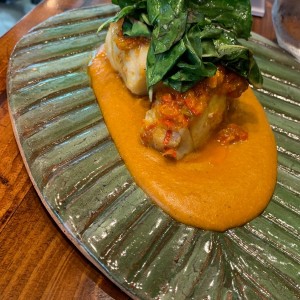corvina