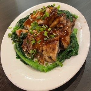 Pollo
