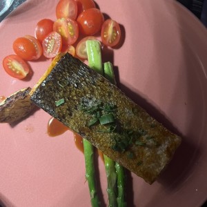 Salmon calle 5 ta