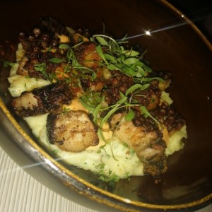 Pulpo