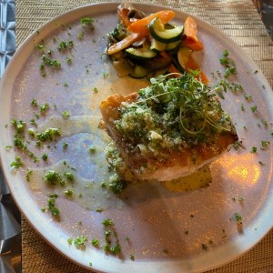Salmon