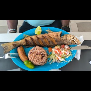 CORVINA ENTERA 