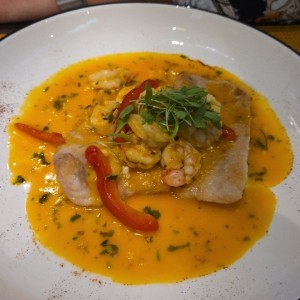 Corvina Nikkei