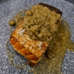 salmon